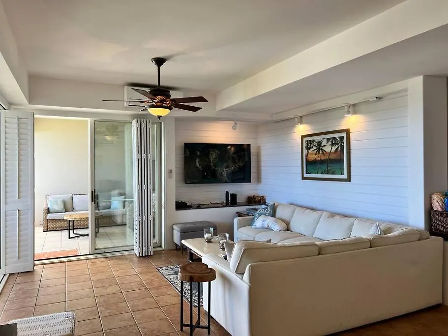 Apartment Beautiful Palms At Wailea Condo! United States